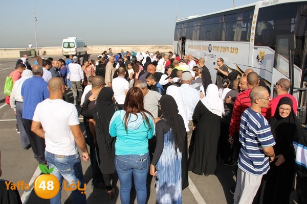 7ojaj yaffa arrive 1022 (2).JPG